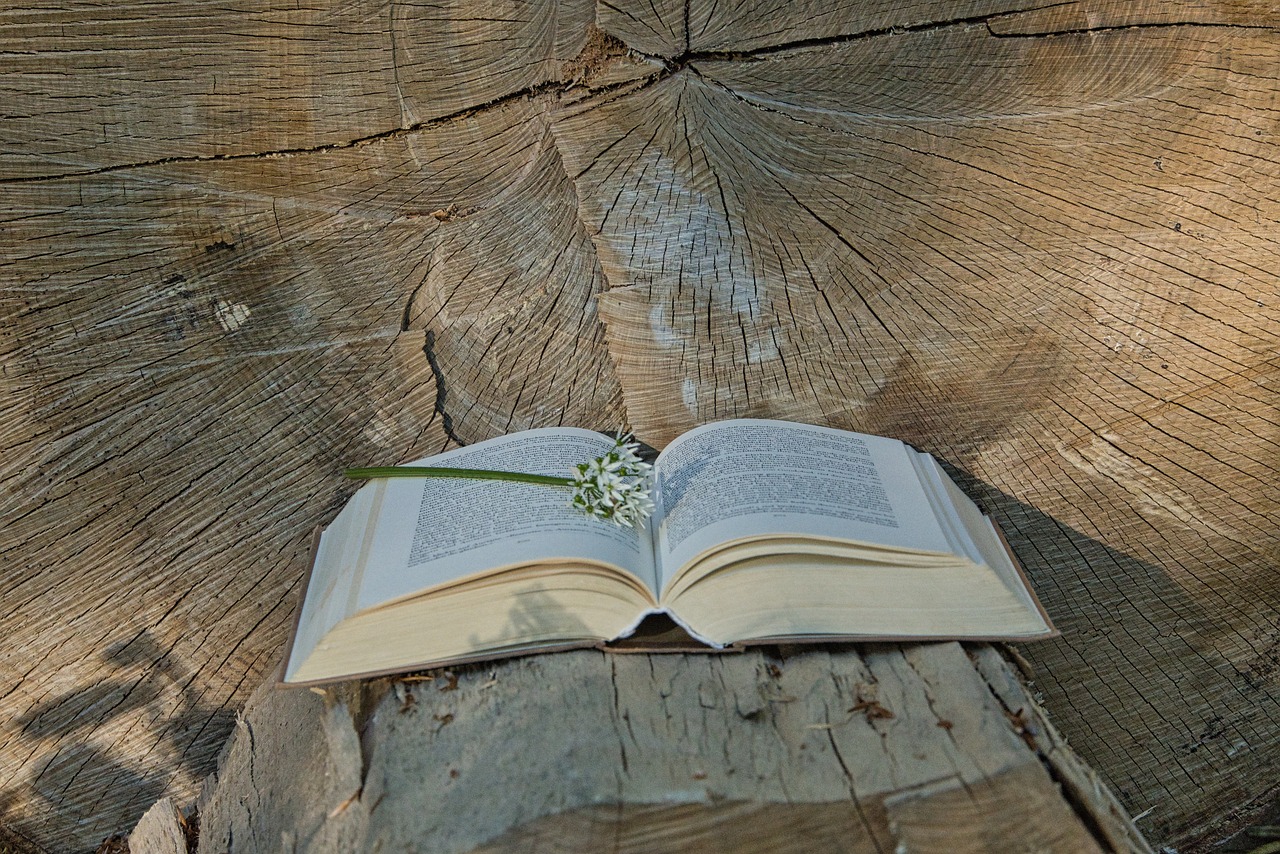 Navigating Through the Complexity of Ontological Relativism